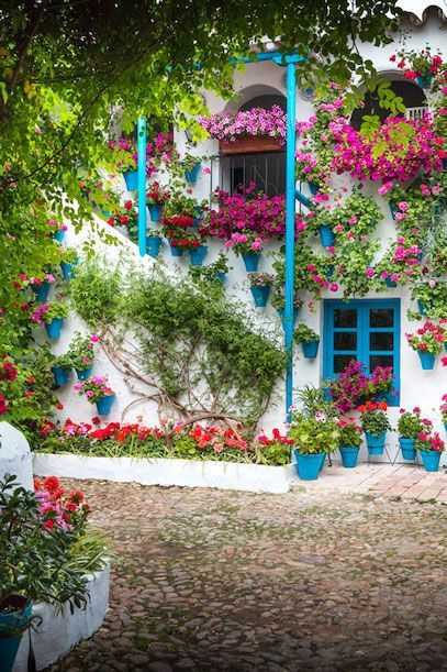 Patios of Córdoba