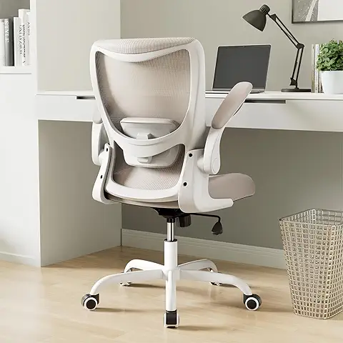 Ergonomic study chair