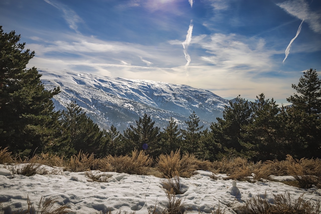 Sierra Nevada Mountains